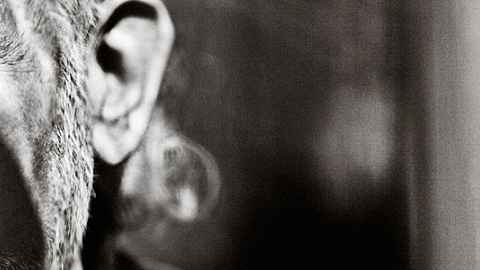 Reviews · Fuzzy · Underjordiske klange og tilstande