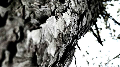 Ejnar Kanding Album Release