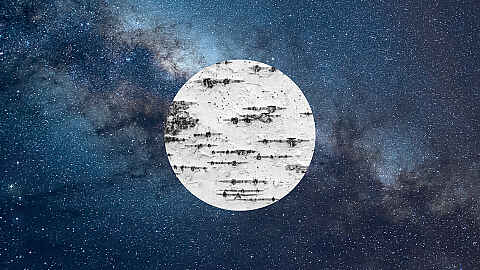 5-star album review · Jesper Koch