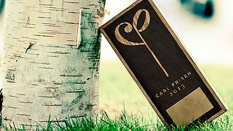 Carl Prize for Steen-Andersen and Stauning