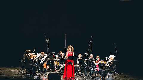 Album release · Steingrimur Rohloff