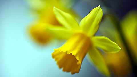 Edition·S closed for Easter