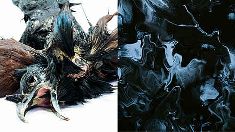 New, ice-cold chamber opera about human exploitation