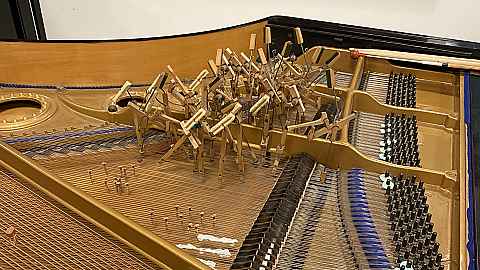 Line Tjørnhøj: ØR