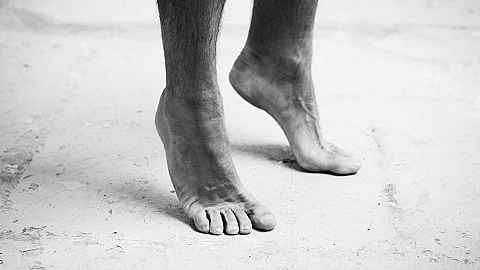 Anatomical Songbook at Medical Museion