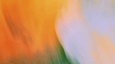 Poul Schierbeck Album release