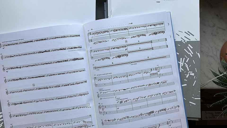 Excerpt from Bára Gísladóttir: <i>amoeba proteus but make it metal</i>