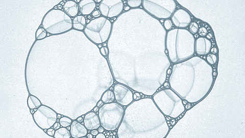 Niels Lyhne Løkkegaard: Album reviews and upcoming performance