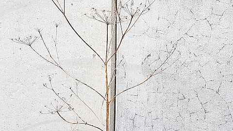 Ejnar Kanding Album release: Fragile Fortitude