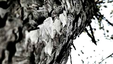 Ejnar Kanding Album Release: Transcience of Time